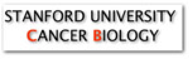 stanford cancer biology phd program